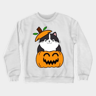 Cute Fat cat is in a pumpkin Crewneck Sweatshirt